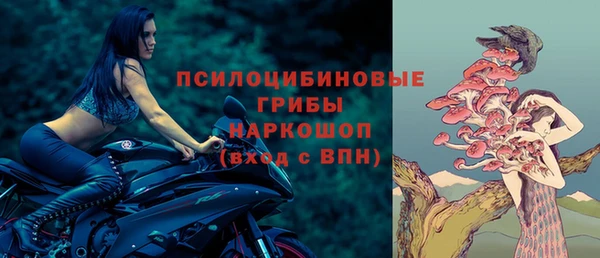 мяу мяу мука Волоколамск