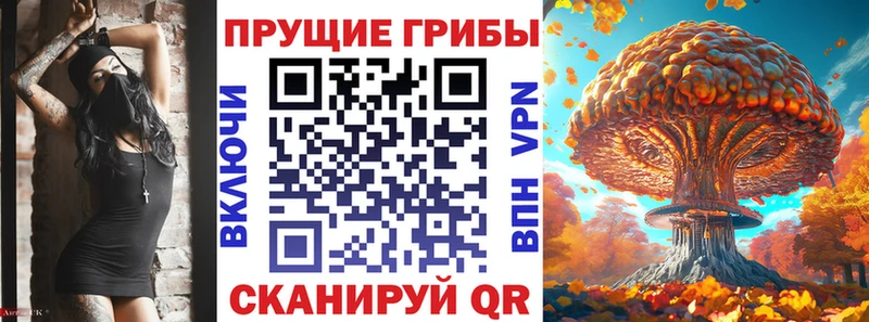Галлюциногенные грибы MAGIC MUSHROOMS  Чекалин 
